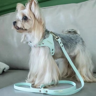 糯米家 ARKIKA小型犬狗狗牵引绳胸背式茶杯泰迪比熊宠物外出遛狗