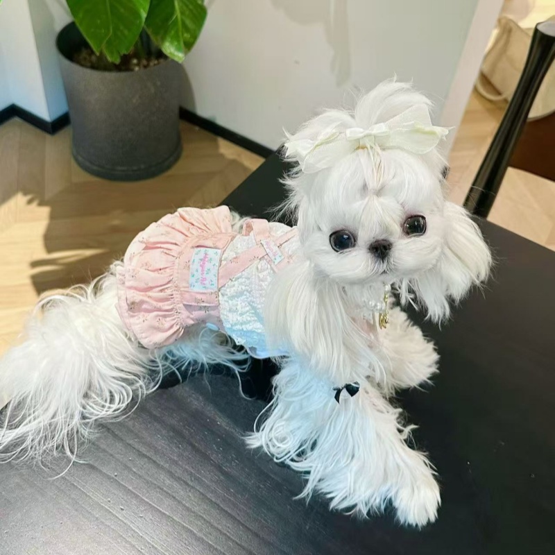 四季背带碎花百搭公主半身蛋糕