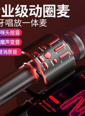 话筒音响一体麦克风全民