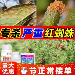 红蜘蛛专用药爱卡螨金满枝阿维哒螨灵联苯肼酯乙螨唑杀虫杀螨组合