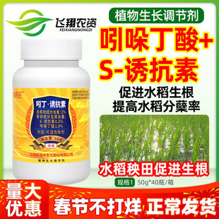 新瑞丰瞄根旺2%吲哚丁酸S-诱抗素水稻秧田促进生根分蘖生长调节剂