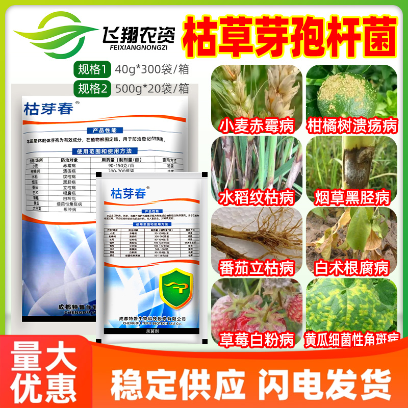 太抗枯芽春枯草芽孢菌杆菌白粉溃疡病纹枯赤霉病立枯根腐病杀菌剂
