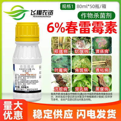 6%春雷雷霉稻瘟病杀菌剂