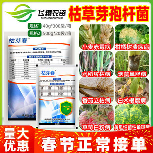 太抗枯芽春枯草芽孢菌杆菌白粉溃疡病纹枯赤霉病立枯根腐病杀菌剂