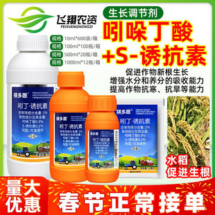 比赛尔祺多跟1%吲哚丁酸S-诱抗素水稻促进生根抗寒抗旱生长调节剂