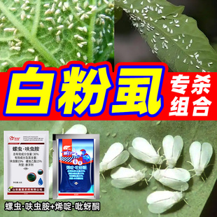 白粉虱专用杀虫剂螺虫乙酯呋虫胺烯啶虫胺吡蚜酮水稻甘蓝农药组合