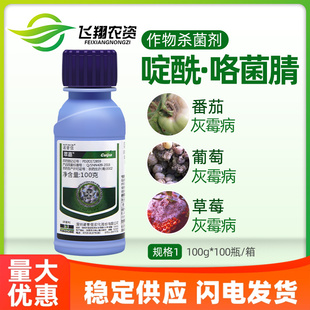 诺普信 翠嘉30%啶酰咯菌腈草莓番茄灰霉病葡萄菌核病白粉病杀菌剂