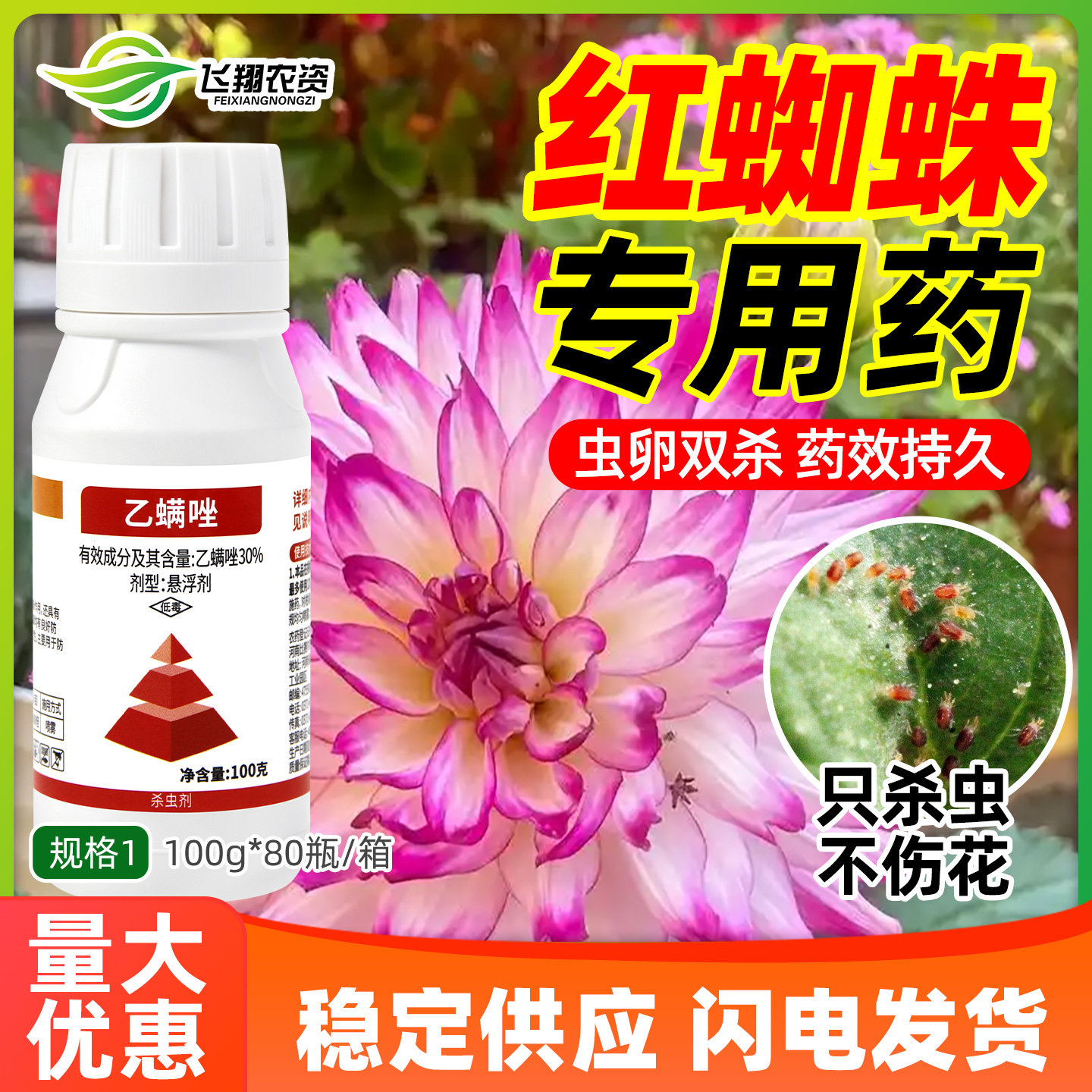 红蜘蛛专用杀虫药30%乙螨唑花卉月季花病虫害霜语虫卵双杀螨虫剂
