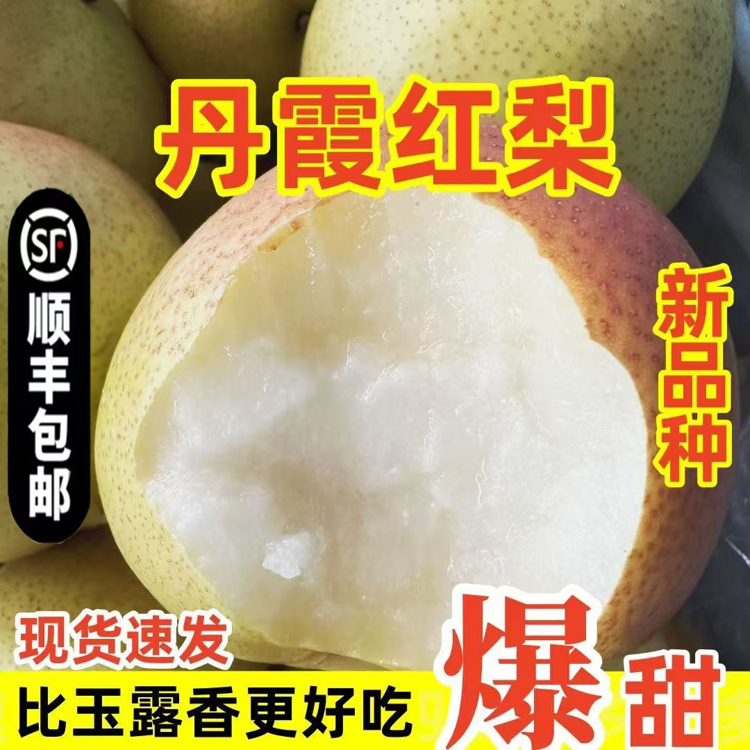 山西农家特产头茬现新鲜丹霞红梨