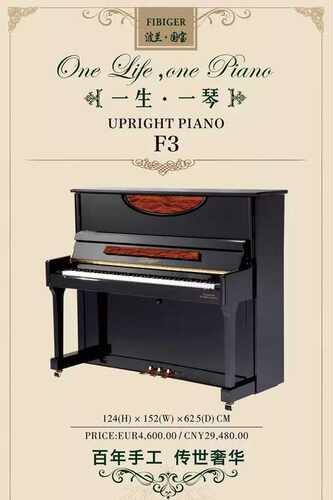 波兰黑色德国立式钢琴