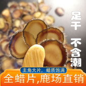 包邮 足干全蜡片头茬二杠主角大片鹿茸蜡片腊片正品 鹿茸片蜡片5克