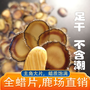 包邮 足干全蜡片头茬二杠主角大片鹿茸蜡片腊片正品 鹿茸片蜡片5克