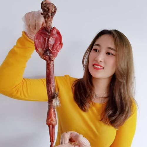 老崔头鹿鞭整枝成年男性滋补泡酒