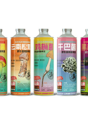 大理野生菌风味精酿啤酒礼盒装