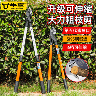 五代园林修枝剪刀强力伸缩大剪刀粗枝剪修枝工具果树剪园艺剪 新款