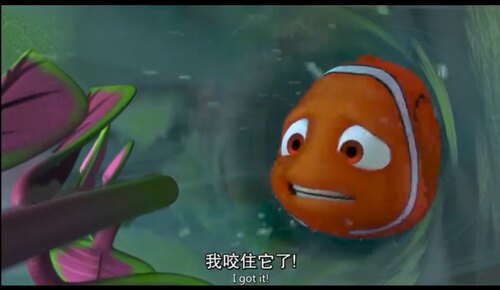 海底总动员2:多莉去哪儿.2016.HD1080P中英双字(2音轨国语).mkv