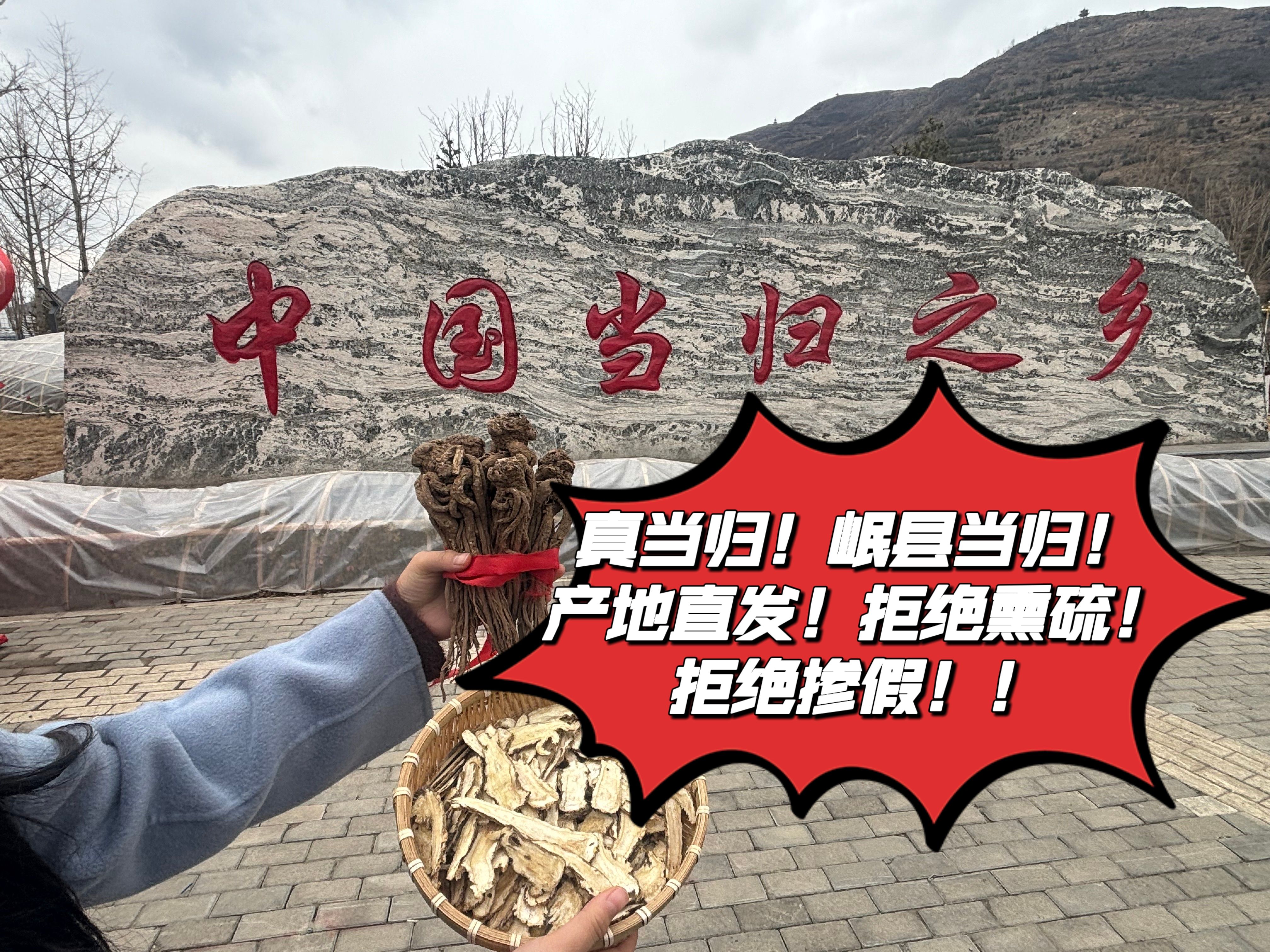 【产地直发】正宗甘肃岷县原产地精选无硫无掺假当归头片