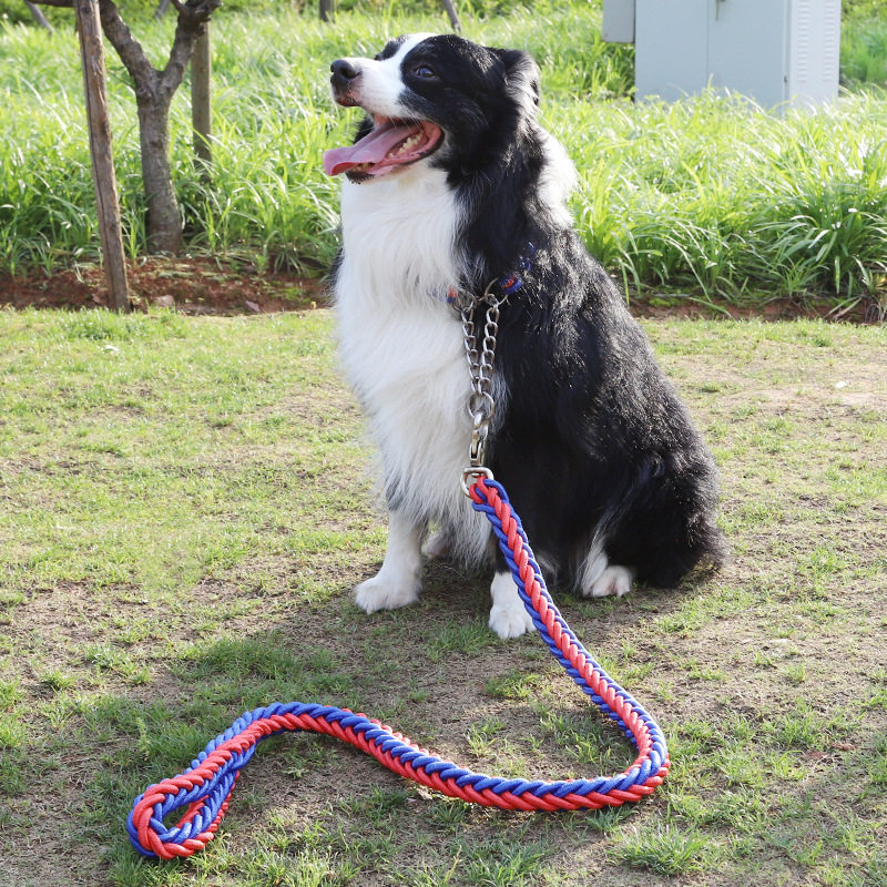 狗链子 大型犬铁链子加粗专用 宠物牵引带颈圈遛狗绳拴狗狗的链子