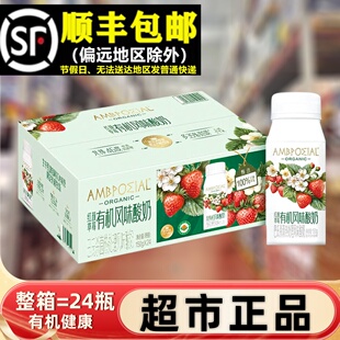 超山正品有机风味酸奶150g整箱红颜草莓瓶装牛奶营养代购伊利早餐