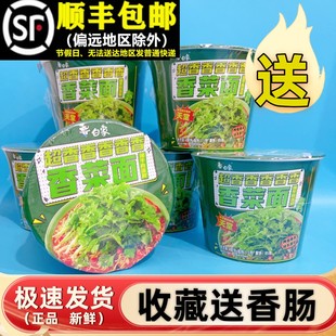 白象香菜面桶装方便面整箱宵夜速食充饥面泡面香菜味超香组合免煮