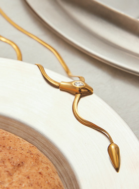 欧美新款高级感时尚金色蛇骨锆石蛇骨项链女小众轻奢锁骨链毛衣链