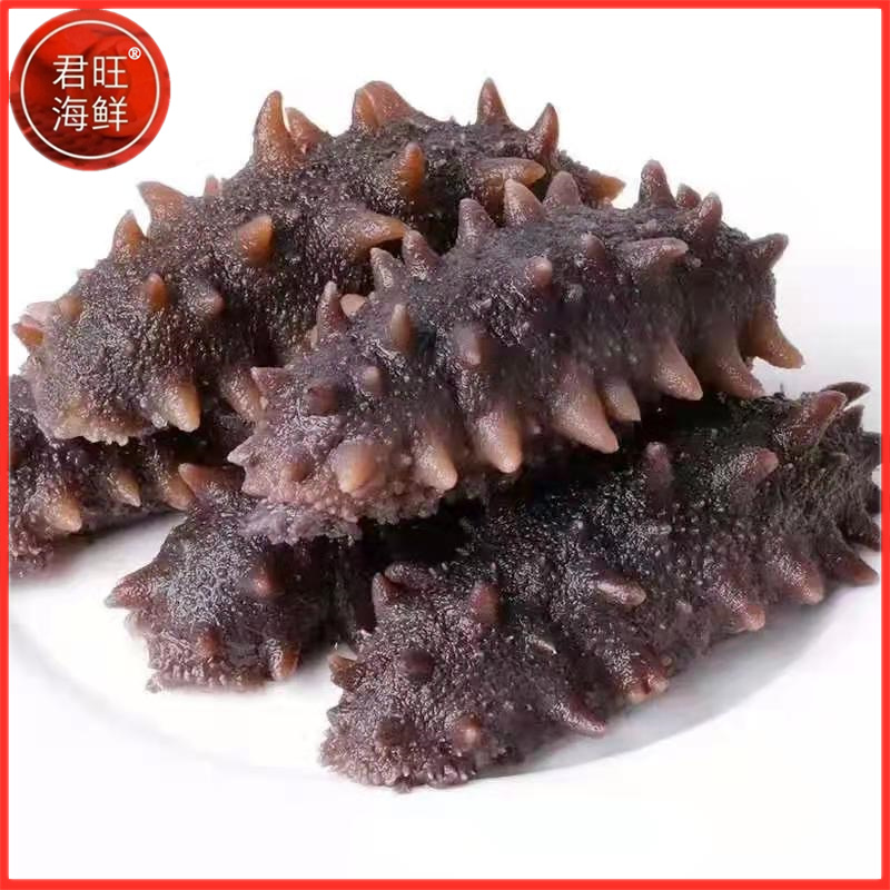 君旺海鲜大连特产野生即食海参