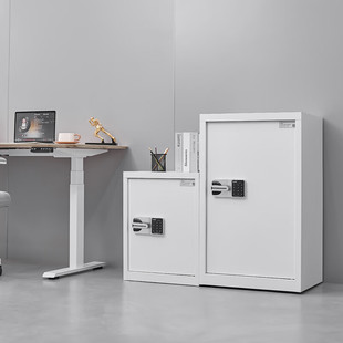 保密柜文件柜国保锁办公室保险柜桌下矮柜指纹密码财务储物资料柜