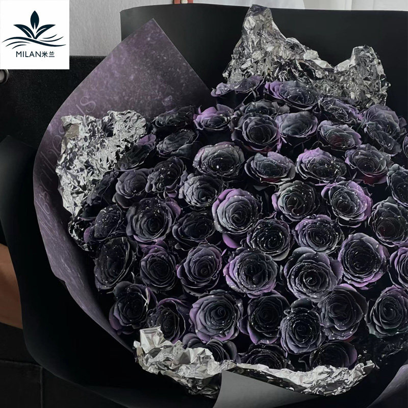 网红星空云玫瑰自喷漆环保染色剂
