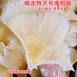 海陵岛深海鱼翅大号海狗翅鱼刺翅煲汤滋补天然渔民自晒海产干货