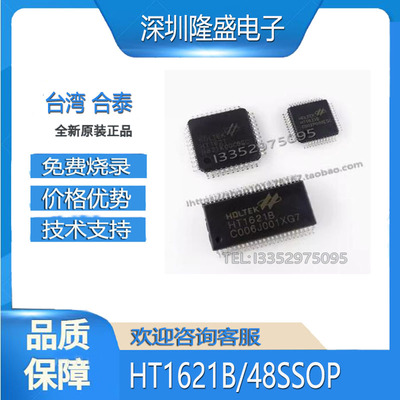 驱动芯片技术支持合泰HT1621B