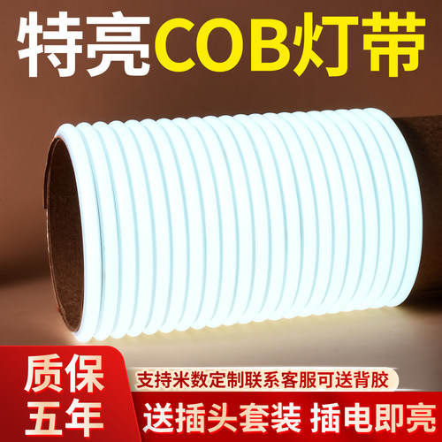 LED灯带220v户外防水超亮软灯条