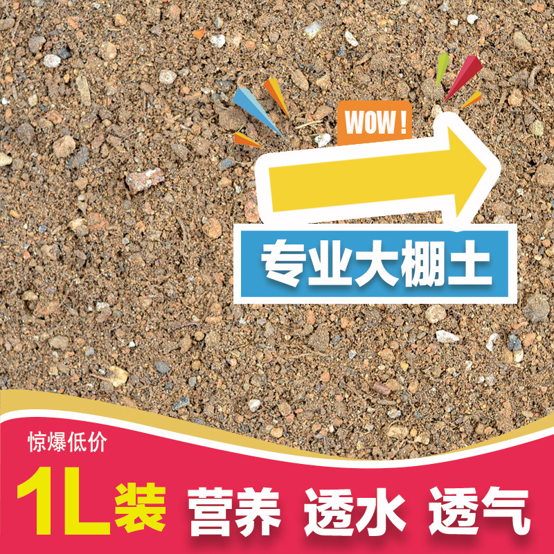 仙人球仙人掌多肉植物大棚土营养土专用颗粒土煤渣土邮政单独包邮