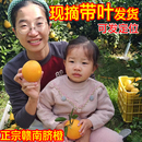 新鲜现摘水果甜橙大果 原产地直发 正宗赣南脐橙 江西橙子脐橙