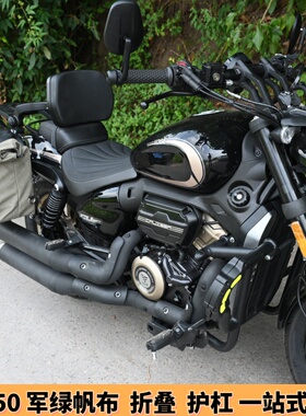 适用隆鑫无极CU250保险杠防摔护杠折叠靠背头盔帆布快拆边包边箱