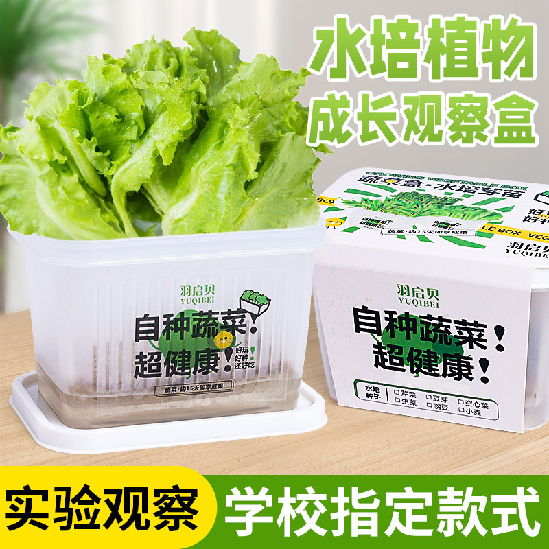 儿童植物观察盒小学生绿豆芽种植水培小盆栽幼儿园伴手礼实验作业,玩具/童车/益智/积木/模型,科学实验,淘宝优惠券,粉丝福利购,淘宝优惠卷