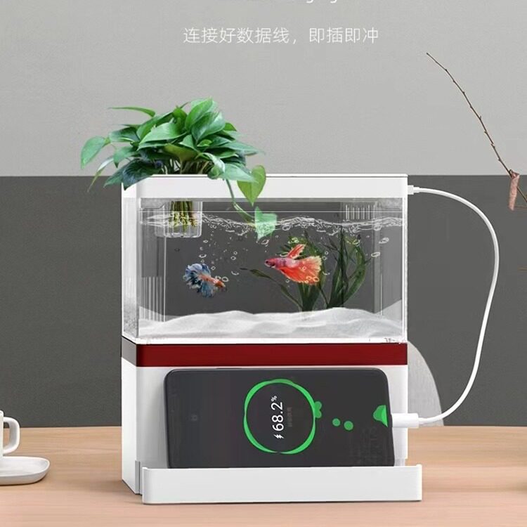 SQG小鱼缸小型桌面创意生态缸微景观免换水斗鱼缸迷你水族箱