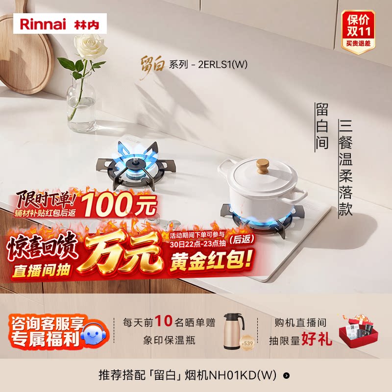林内新品留白5.2kW定时防干烧S1
