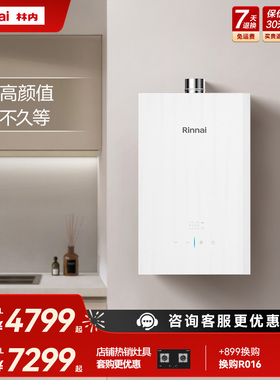 【线下同款】林内燃气热水器GT15