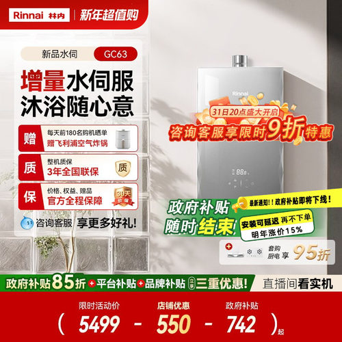 25年林内新品水伺燃气热水器GC63
