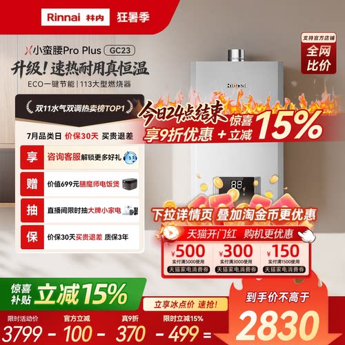 林内小蛮腰ProPlus速热耐用燃热