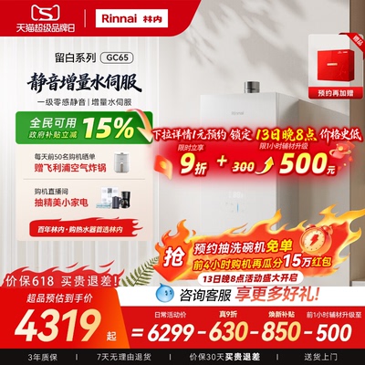 林内留白一级静音GC65玻璃水伺服