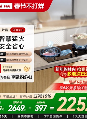 林内Rinnai燃气灶家用双灶天然气炉灶台定时防干烧2E03LS