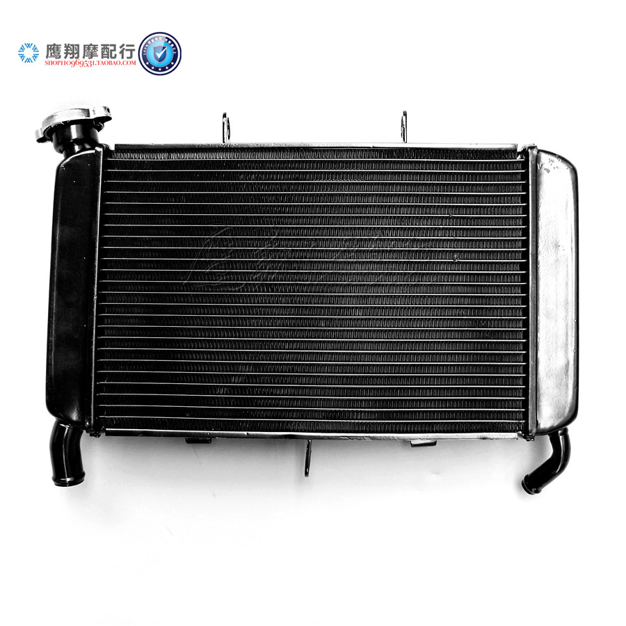 适用雅马哈XJ6N 09 10 12 13 14 15 16年水箱散热器总成 水冷器