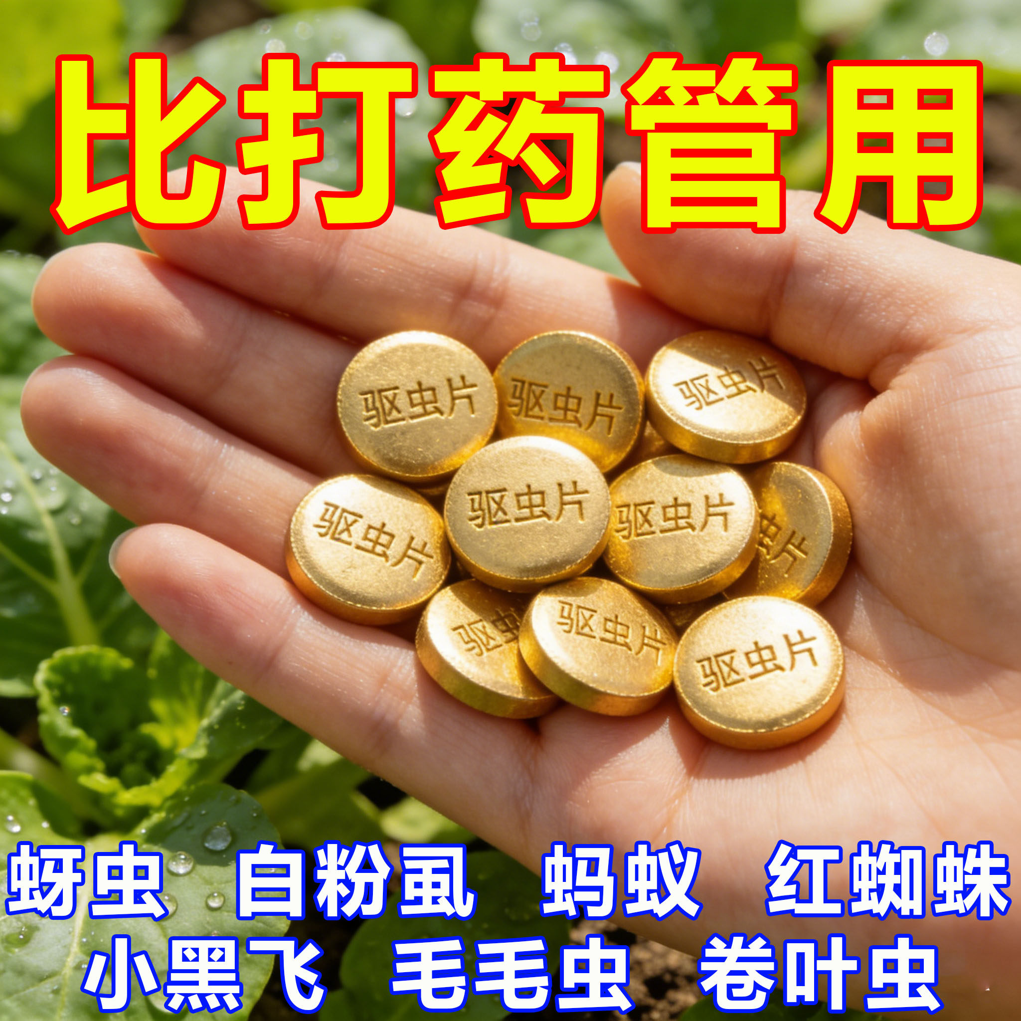 园艺防虫片驱虫除糖化硼肥片盆栽果花卉植物防烂根土壤养花蚜虫