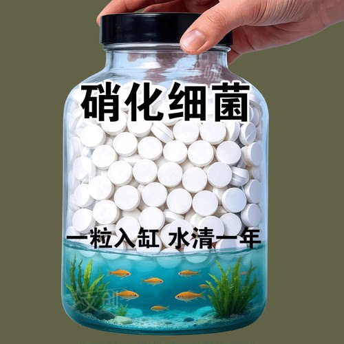 培育硝化系统水体清澈好养鱼