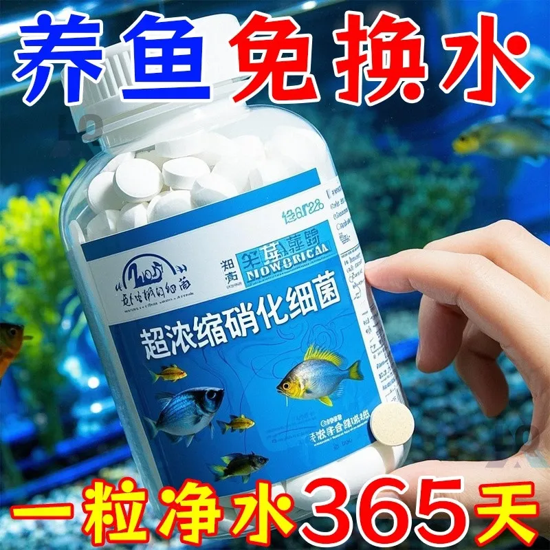 高浓缩硝化细菌净化水质分解鱼便