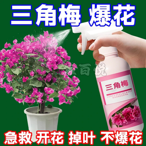 三角梅营养液花大色艳催花壮根