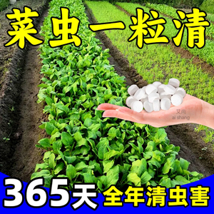园艺防虫片驱虫除蚜虫蓟马白粉虱糖化硼肥片盆栽果花卉植物防烂根
