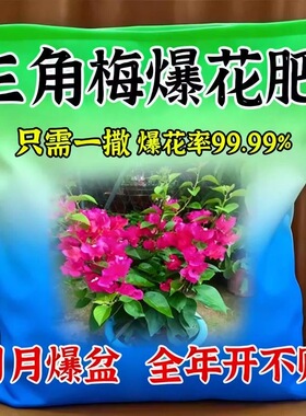 三角梅催花开花粉促芽剂催光杆发芽治黄叶落叶枯萎壮根助生长肥料