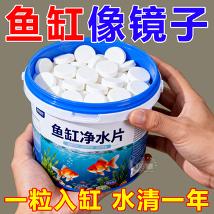 鱼缸净水片澄清澈净化水质除臭去腥鱼缸水族箱鱼池清水养鱼净水剂